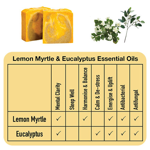 Lemon Myrtle & Eucalyptus Soap
