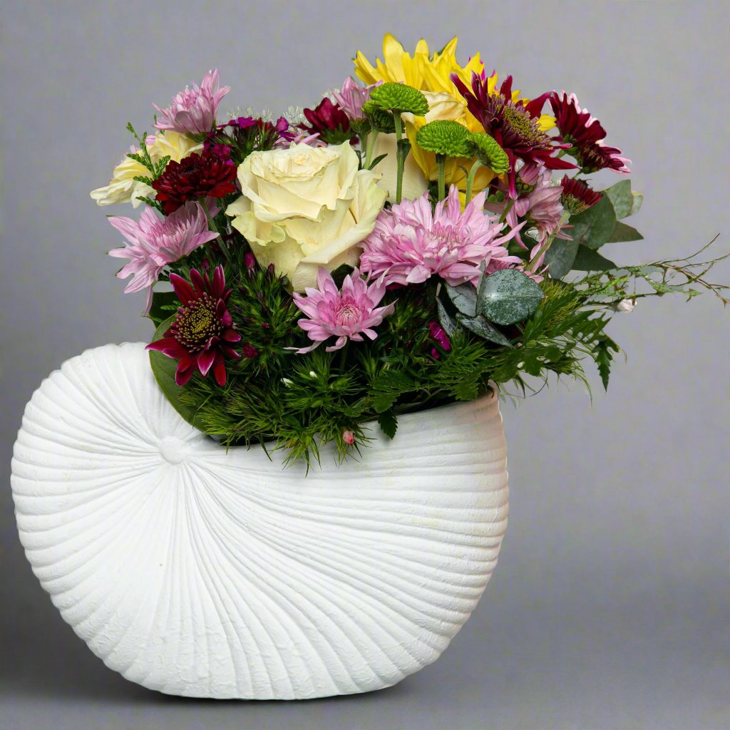 Shell Pot Arrangement