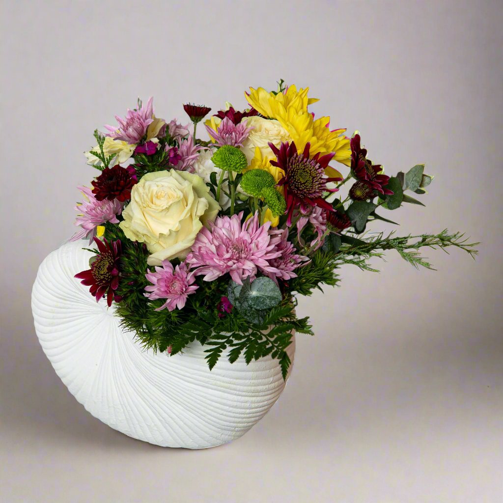 Shell Pot Arrangement
