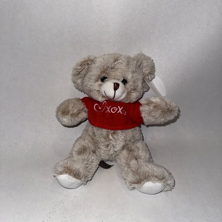 Valentine's Teddy Bears