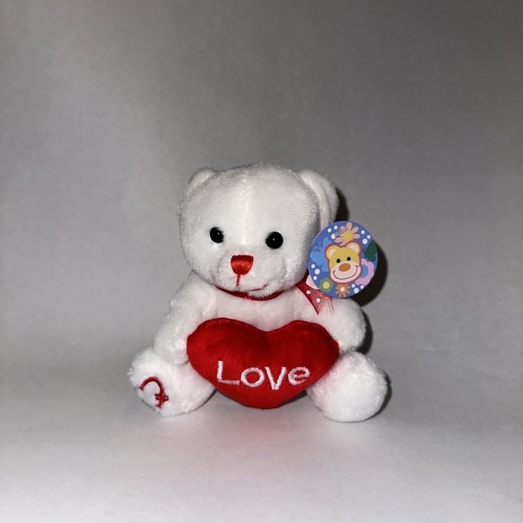 Valentine's Teddy Bears