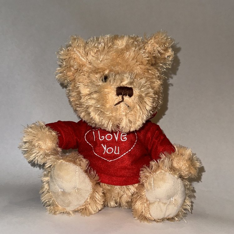 Valentine's Teddy Bears