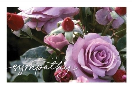 Greeting Cards - Occasion