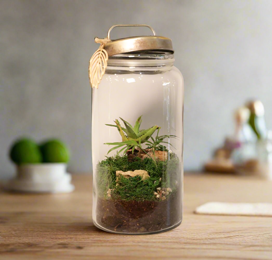 Rustic Terrariums