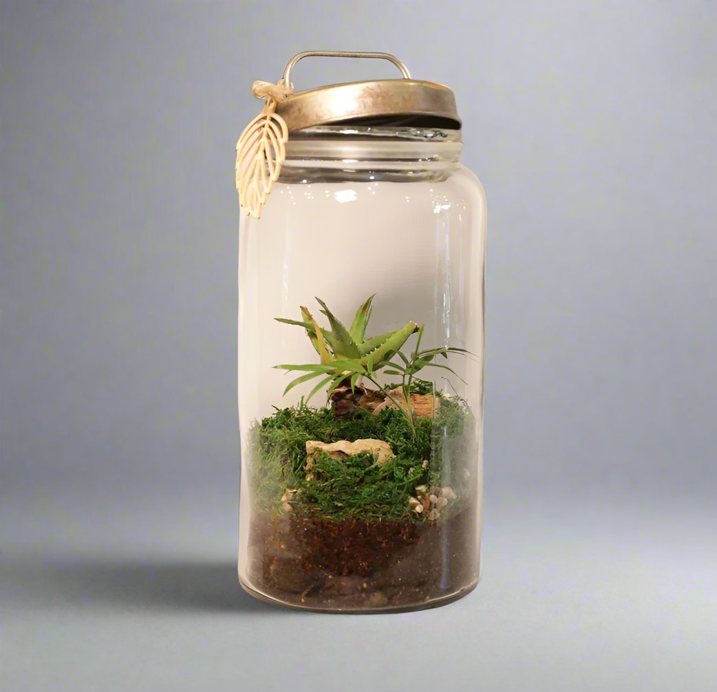 Rustic Terrariums