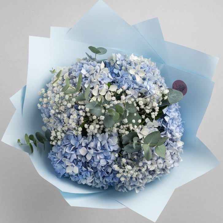 Hydrangeas