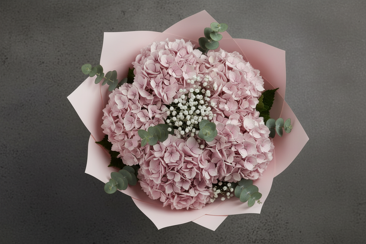 Hydrangeas