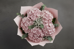 Hydrangeas