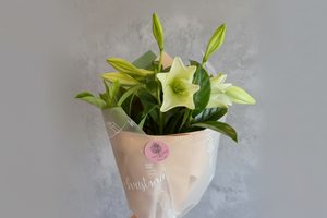 Christmas Lily Bouquet - White