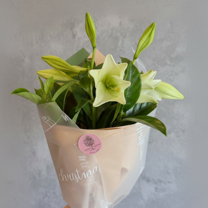 Christmas Lily Bouquet - White