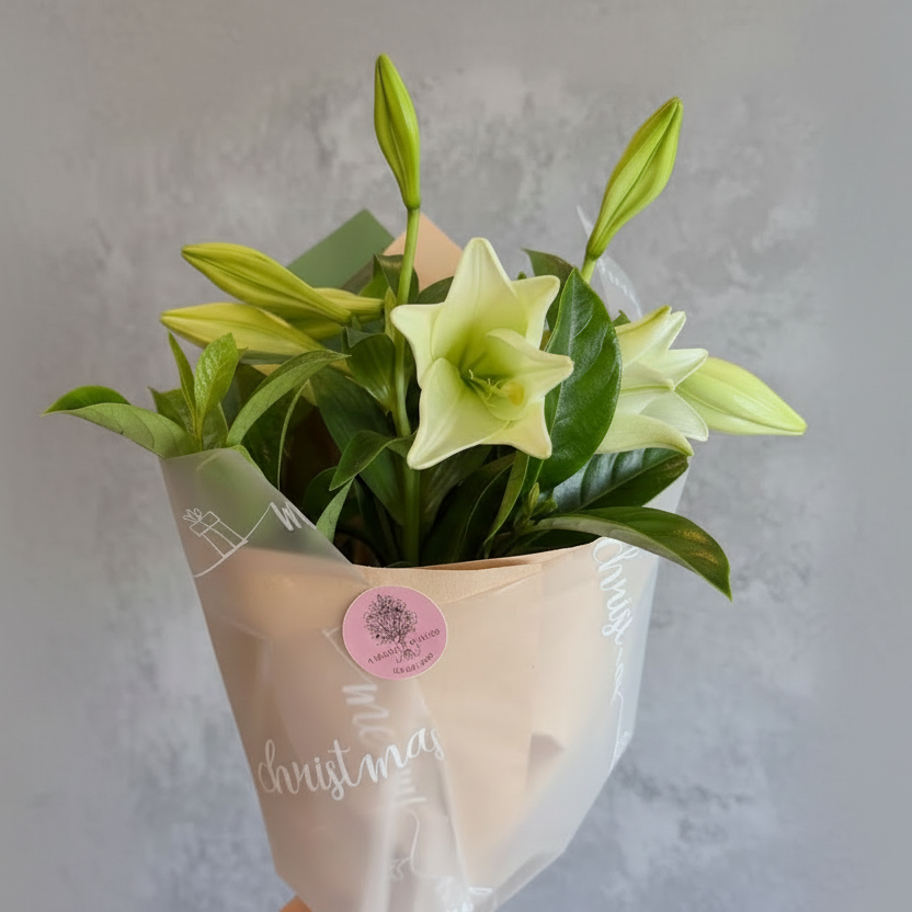 Christmas Lily Bouquet - White