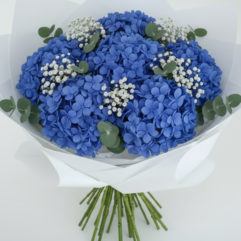 Hydrangeas