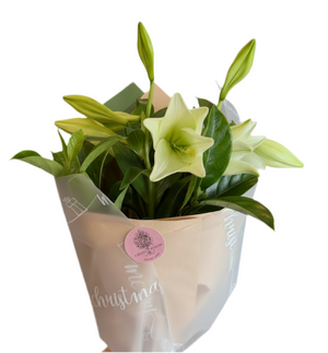 Christmas Lily Bouquet - White