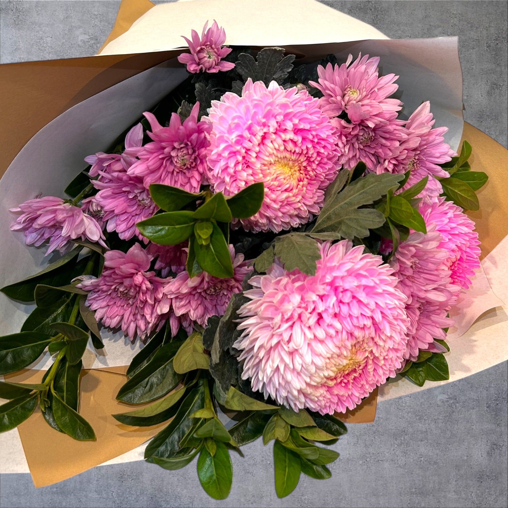 Disbud Mums &  Chrysanthemums